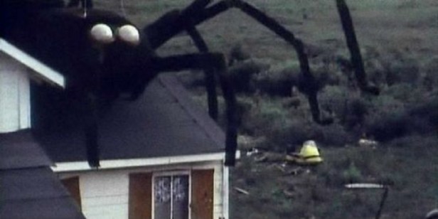 thegiantspiderinvasion