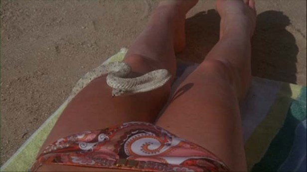 vlcsnap2012040723h49m29