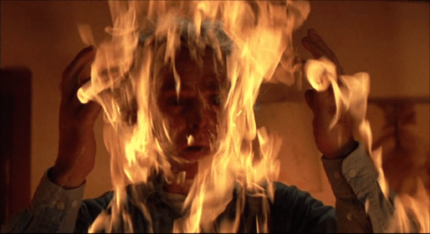 vlcsnap-2010-09-03-07h55m53s125