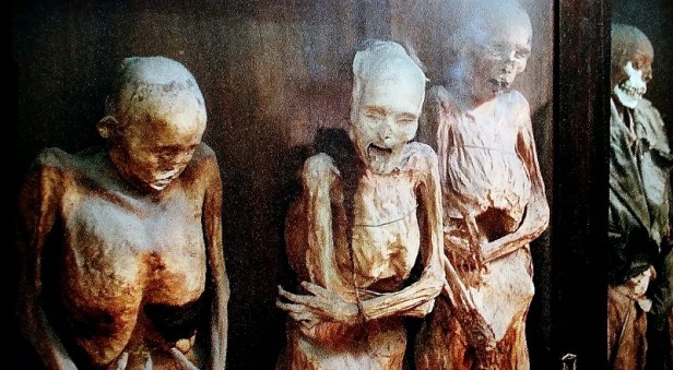 20151204_012024_resized