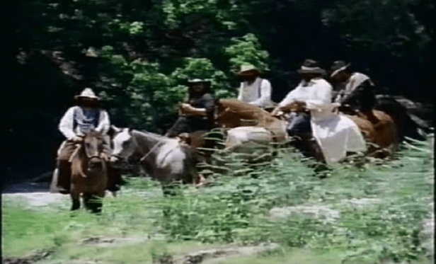 vlcsnap-2012-07-03-21h03m40s6