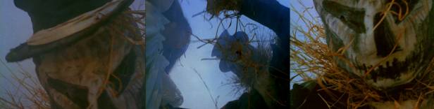 14203021_10153846065843161_1486322536_o