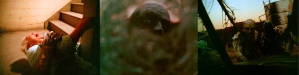 14203086_10153846065828161_1805882003_o